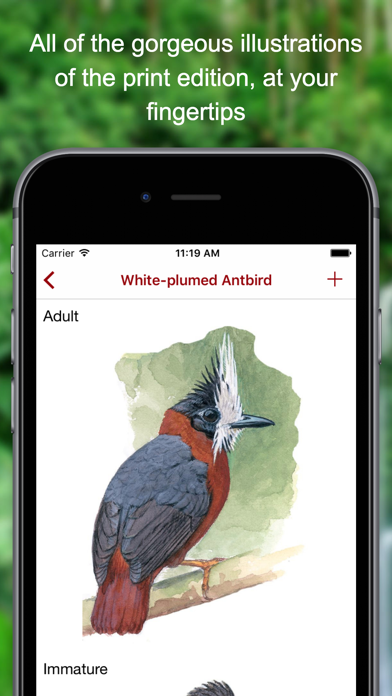 How to cancel & delete Birds of Peru from iphone & ipad 2