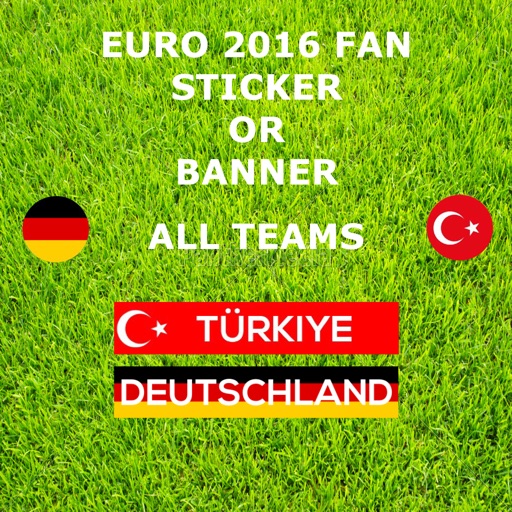 Euro 2016 Fan - Show for which country you are holding in em 2016 icon