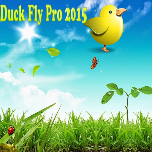 DuckFly pro 2015 iOS App