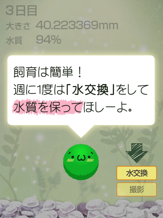 ゆる く まりも育成 かわいい無料マリモ育成ゲーム をapp Storeで