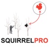 Squirrel Hunting Strategy - Squirrel Hunter Plan for Small Game Hunting - AD FREE