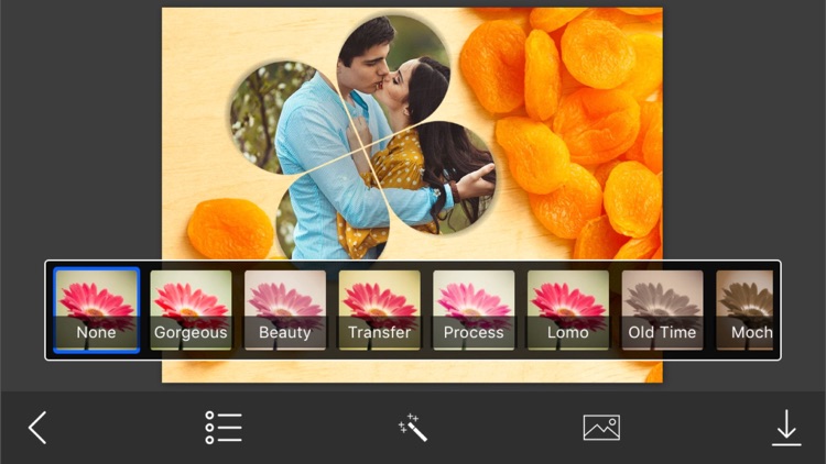 Fruit Photo Frame - Amazing Picture Frames & Photo Editor