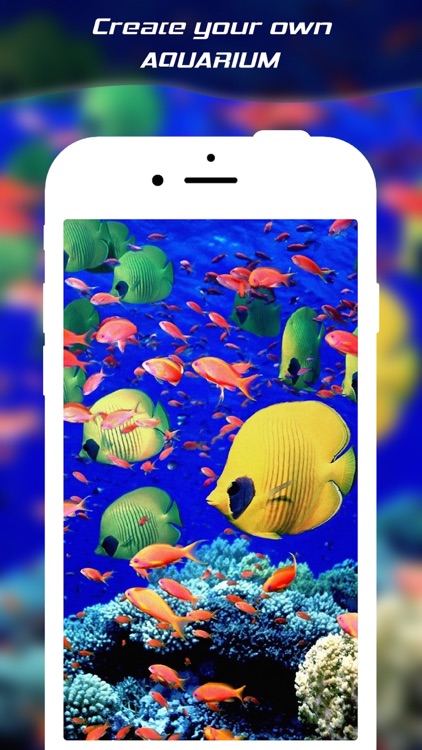 Live Wallpaper Maker For Live Photo - Convert any Video and Wallpapers to Animated Live Wallpapers for iPhone 6s and 6s Plus