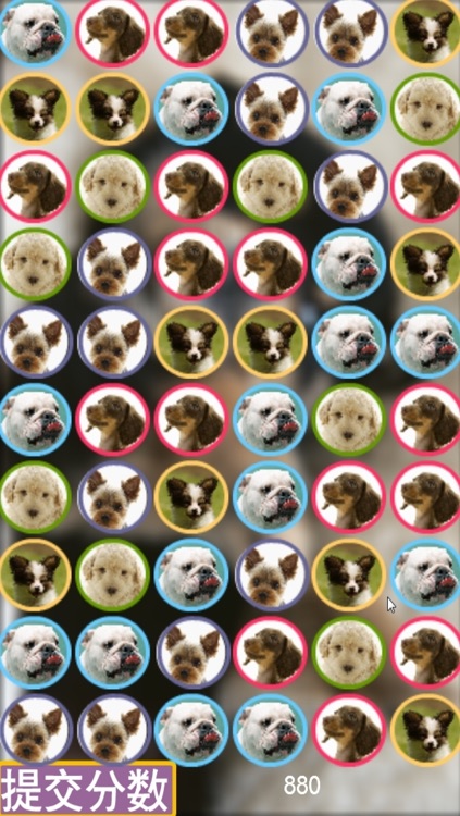 Cute Puppy Puzzle - A fun & addictive puzzle matching game