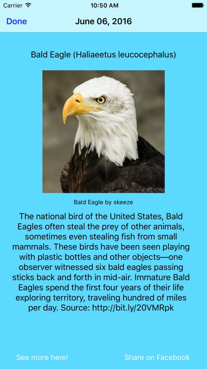 Daily Bird Facts screenshot-4