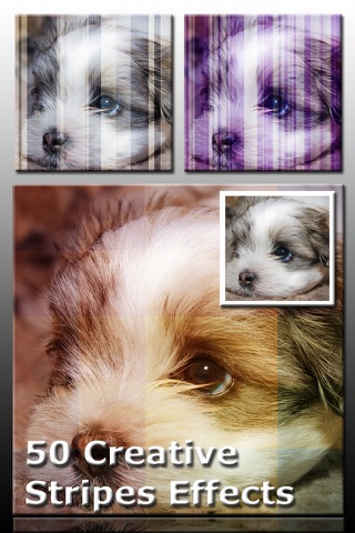 AceCam Stripes - Photo Effect for Instagram screenshot 2