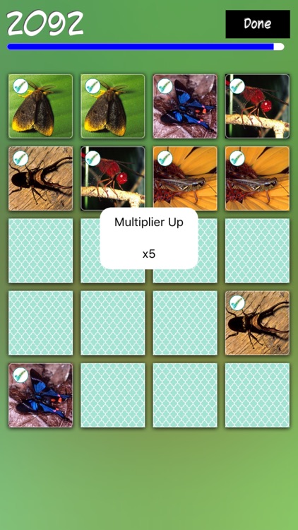 Match Insects screenshot-3