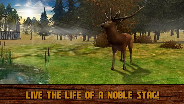 Forest Deer: Wild Survival