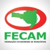 FECAM - Relatório de Atividades