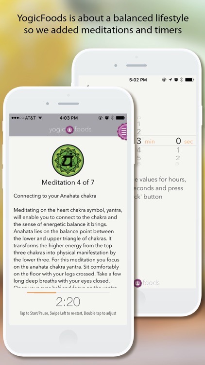 YogicFoods - Vegetarian recipes to detox your body and balance your chakras using Kundalini yoga
