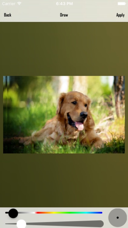 Camera Combine screenshot-4