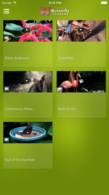 Victoria Butterfly Gardens screenshot-3
