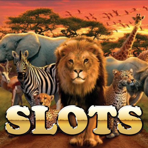 Safari Slots - Big Casino Game Icon