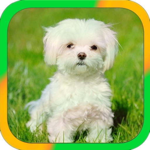 Animali da sentire - Bambini iOS App
