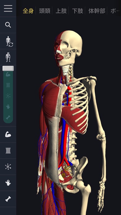 teamLabBody-3D Motion... screenshot1