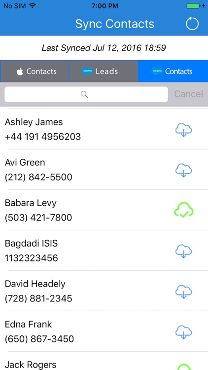 Salesforce Contacts Sync