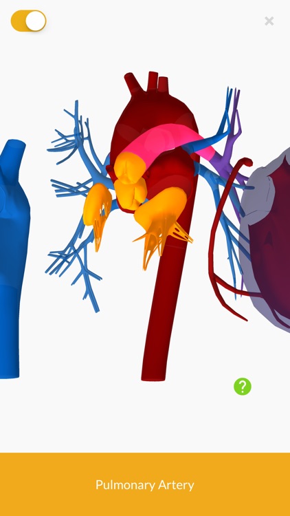 3D Anatomy teachr