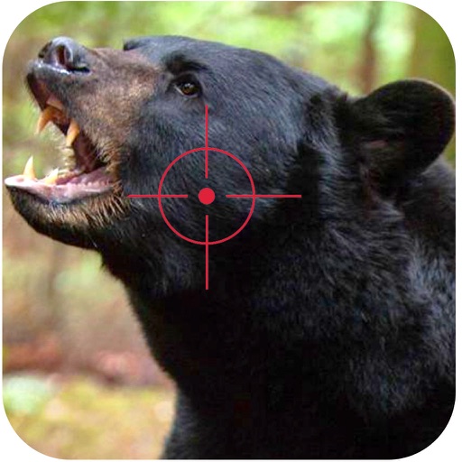 Black Stray Bear Hunt Attack Forest Hunt-Man