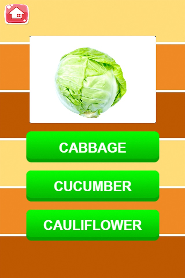 Learning English Vocabulary With Picture - Vegetables screenshot 3
