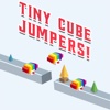 Tiny Cube Jumper