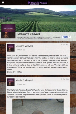 Messiah's Vineyard screenshot 2