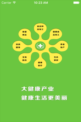 Screenshot of 大健康产业