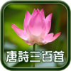 每日必听国学 唐诗300首(有声图文典藏版)-bting Education