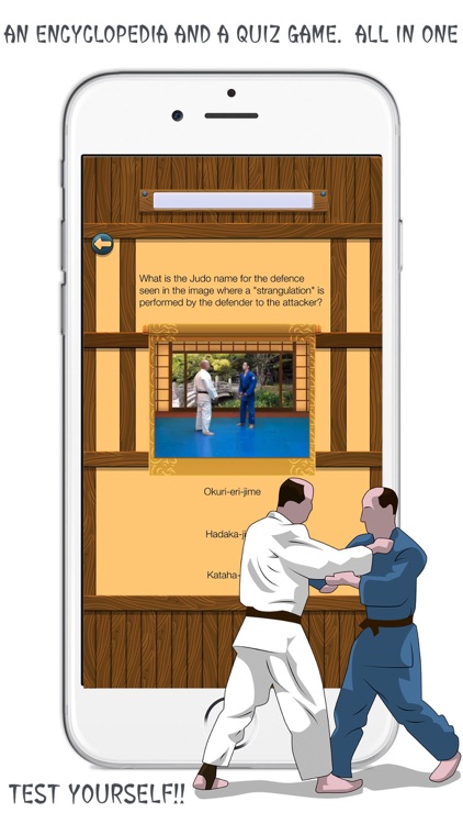 Virtual Judo