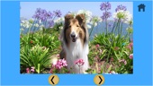 splendid dogs for kids - free Captura de tela 5