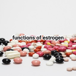 Estrogen