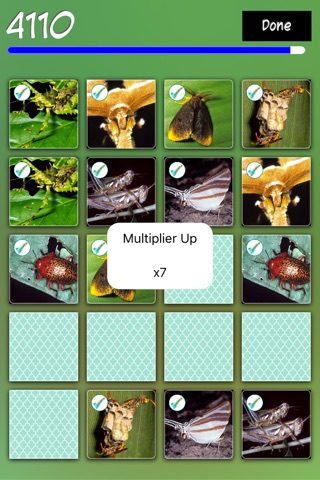 Match Insects screenshot 4