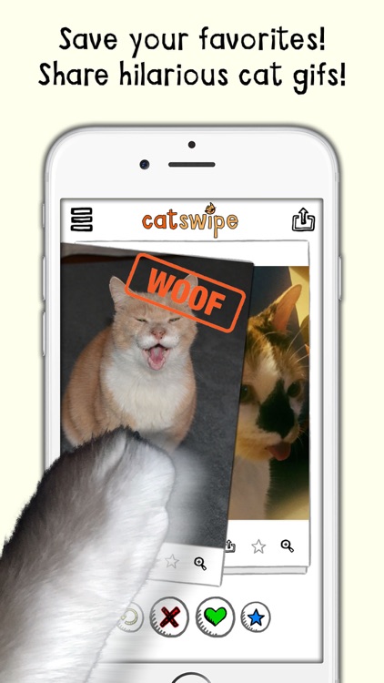 catSwipe - Swipe your way through endless kitties!