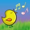 The best English song collection for children