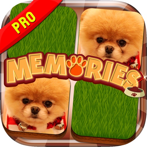Memories Matching Puppy Dog Lover Educational Pro