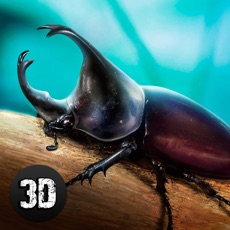 Activities of Bug Life Simulator 3D Full