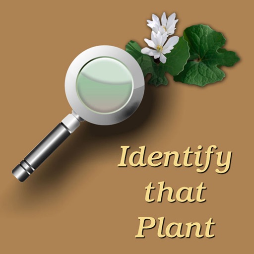 Plant Identification Terminology icon