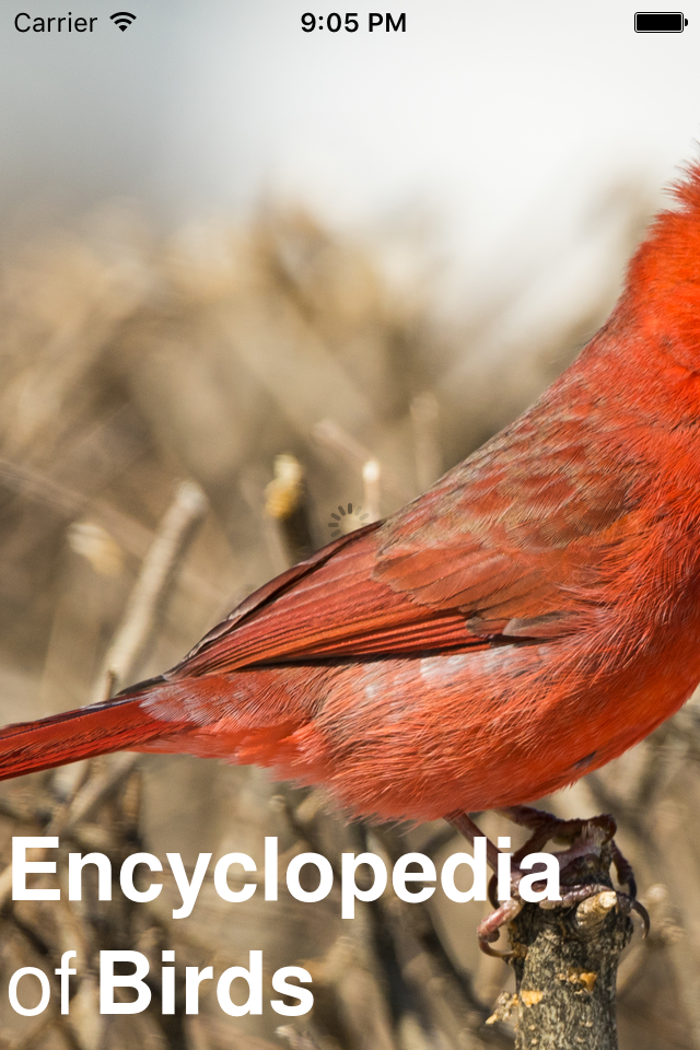 CHI Encyclopedia of Birds