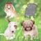 Puppy Dog Puzzles for Toddlers and Kids - Educational Puzzle Games