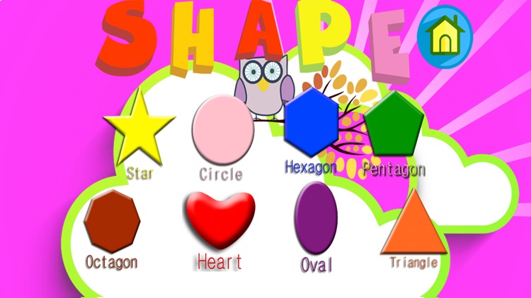 shape puzzle educational learning