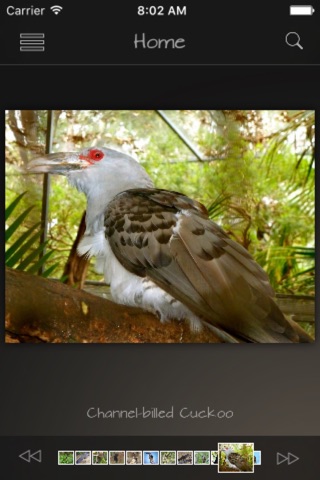 Cuckoos Database screenshot 3