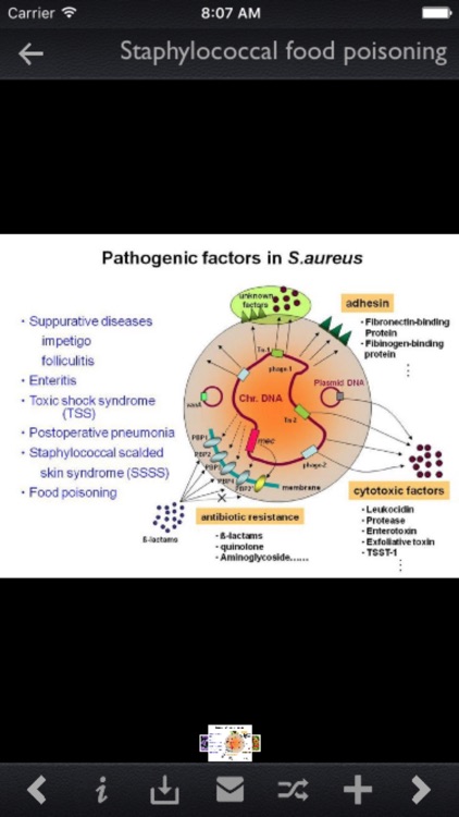 Infectious Diseases Database