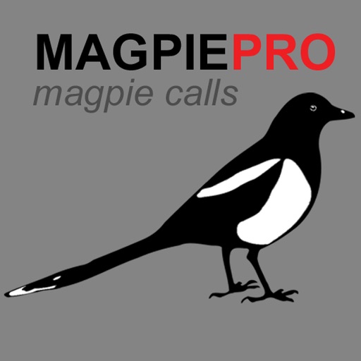 REAL Magpie Calls for Hunting & Magpie Sounds! - (ad free) BLUETOOTH COMPATIBLE iOS App