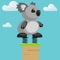 Jumping Koala