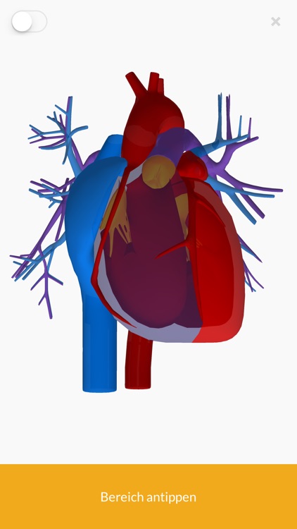 3D Anatomie teachr