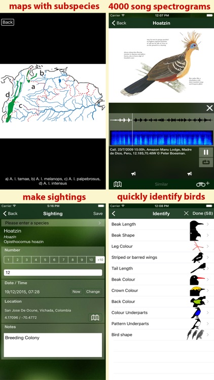 All Birds Ecuador - a complete field guide to all the bird species recorded in Ecuador screenshot-4