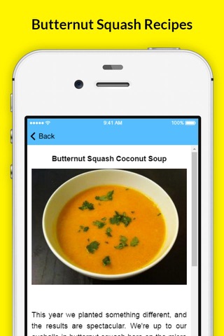 Butternut Squash Recipes - Soup in Thai Curry Paste screenshot 3