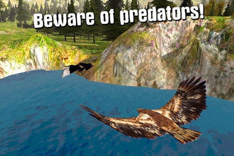 Wild Eagle: Bird Survival Simulator 3D screenshot 3