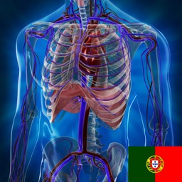 Anatomia & fisiologia animação