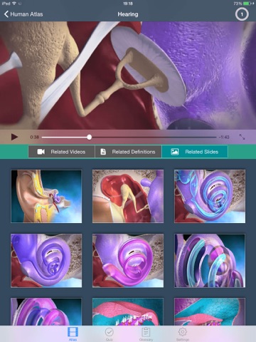 Animated Physiology Human Atlas screenshot 3