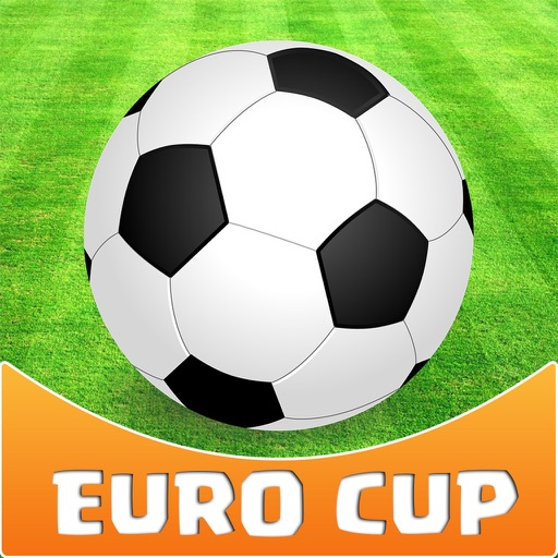 Euro Soccer Cup 2016 Icon